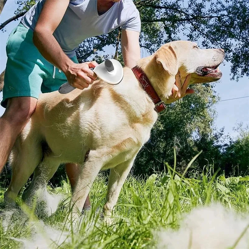 Cepillo removedor de pelo autolimpiante para perros y gatos